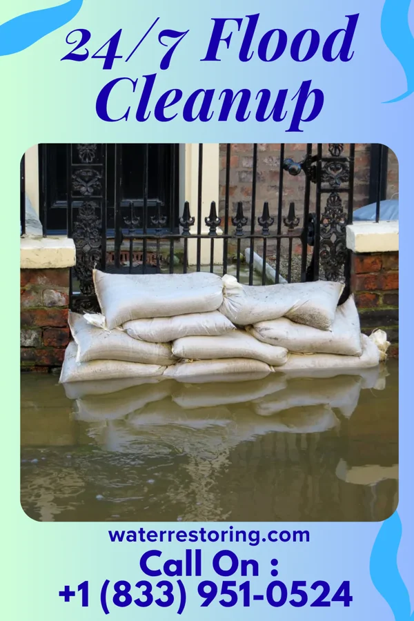 24/7 Flood Cleanup in New Riegel, OH