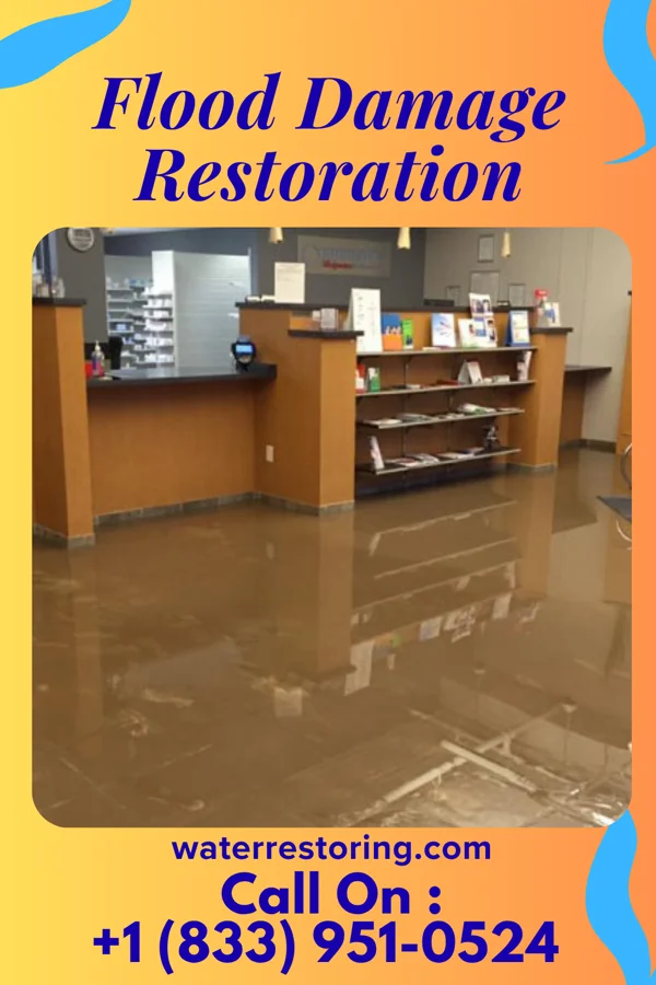 Flood Damage Restoration in New Riegel, OH
