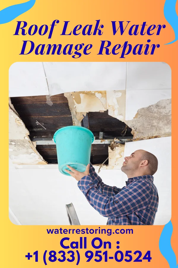Roof Leak Water Damage Repair in New Riegel, OH