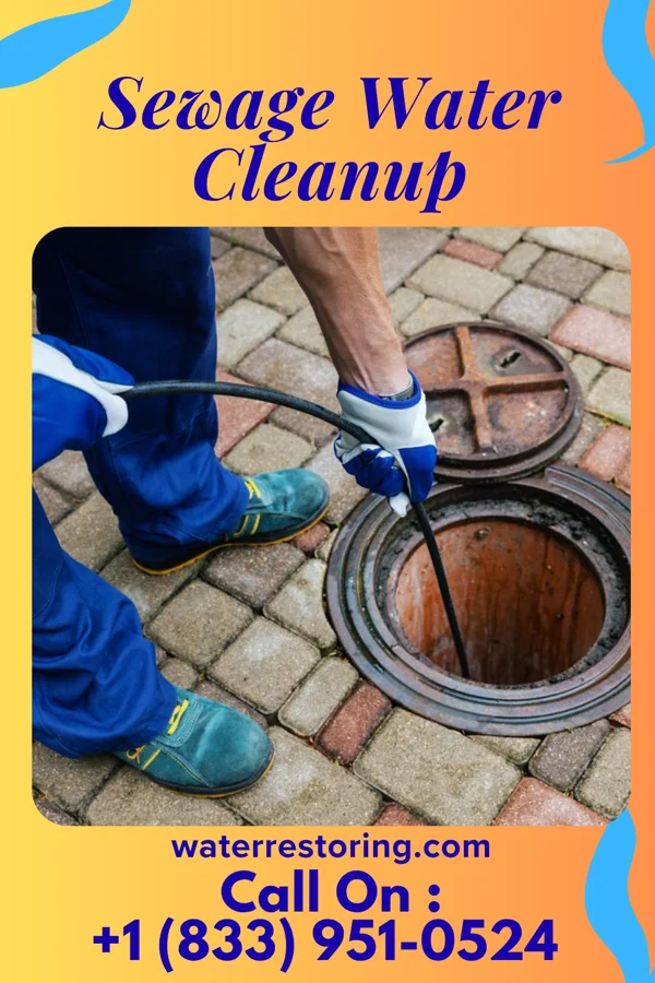 Sewage Water Cleanup in New Riegel, OH